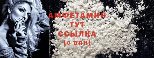 стаф Дмитровск