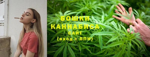 прущая мука Дмитриев
