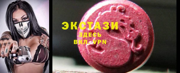 стаф Дмитровск